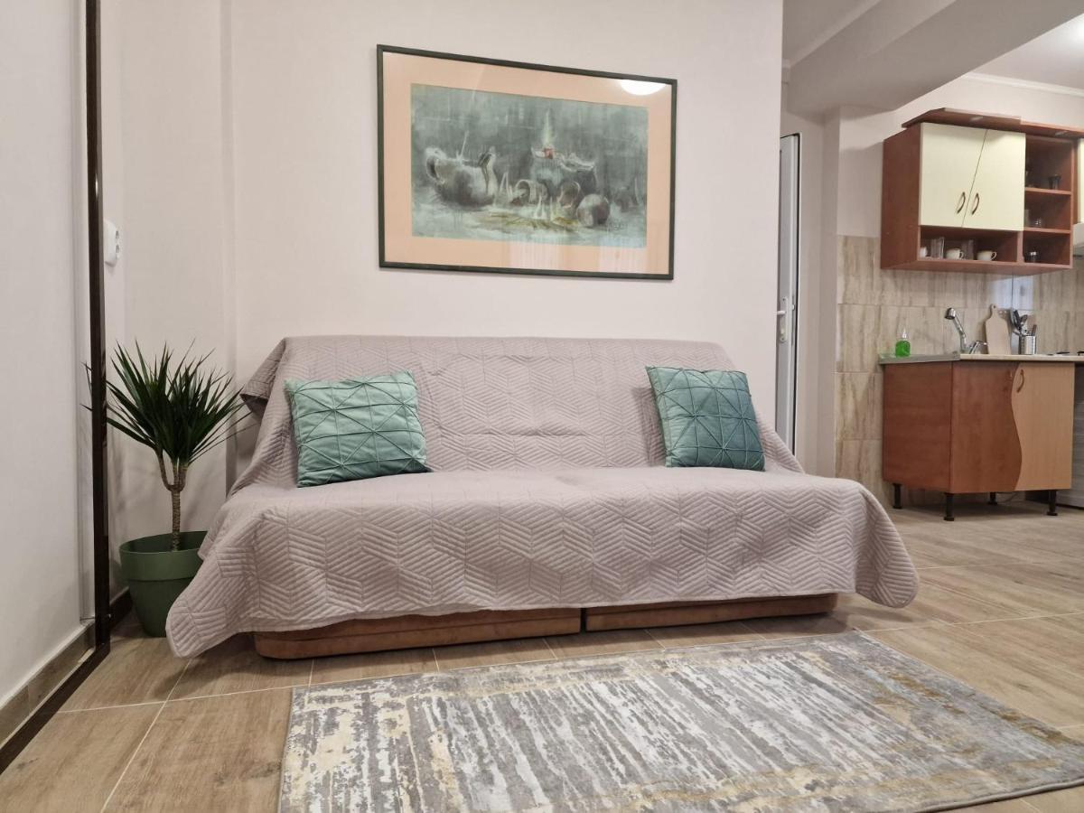 Laroka House Beautiful Apartment Universitate Center Букурещ Екстериор снимка